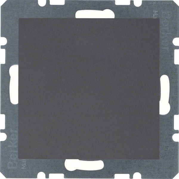 Blind plug centre plate, B.3/B.7, ant., matt image 2