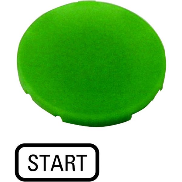 Button plate, flat green, START image 5