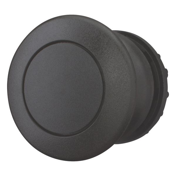 Mushroom actuator, RMQ-Titan, Mushroom, momentary, Mushroom black, black, Blank, Bezel: black image 7