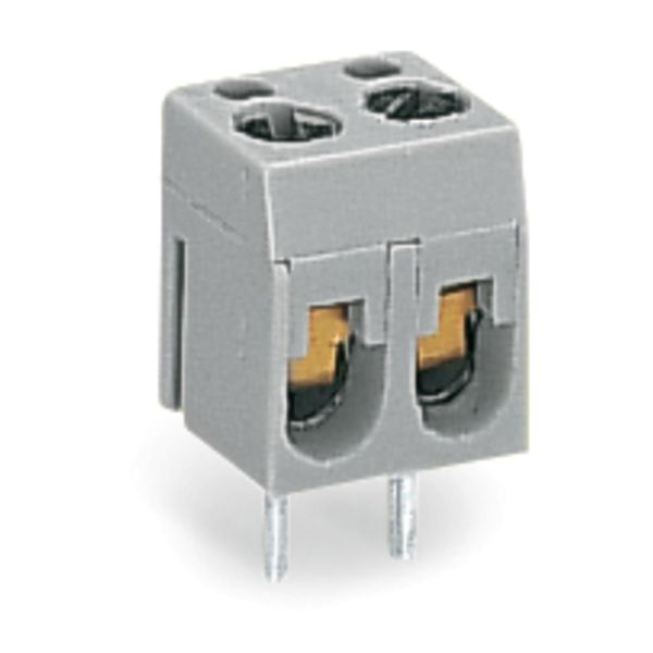 PCB terminal block 2.5 mm² Pin spacing 5.08 mm gray image 1
