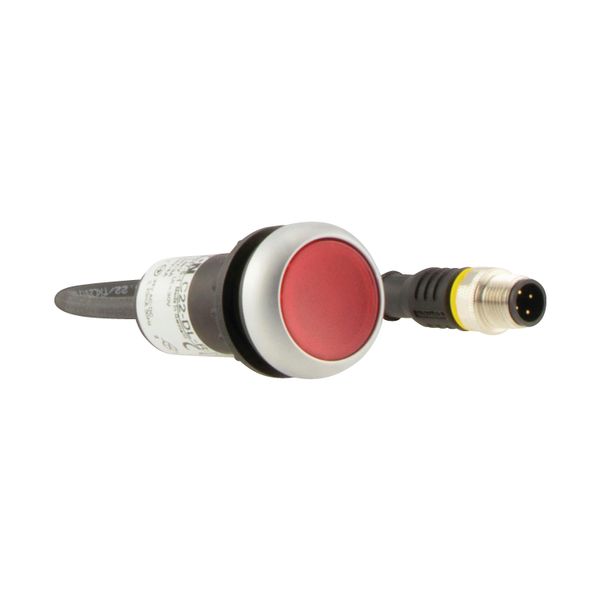 Illuminated pushbutton actuator, classic, flat, maintained, 1 N/C, red, 24 V AC/DC, cable (black) with m12a plug, 4 pole, 0.2 m image 11