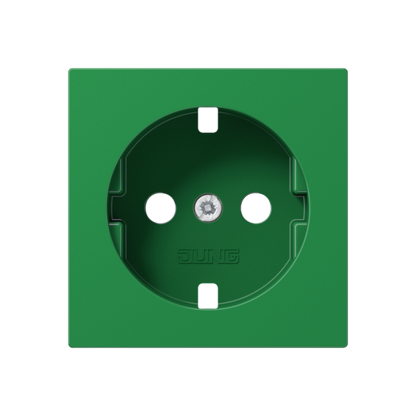 Cover for SCHUKO® sockets A1520BFPLGN image 2