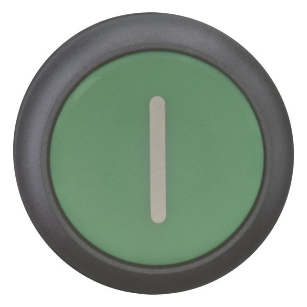 Pushbutton, RMQ-Titan, Flat, maintained, green, inscribed, Bezel: black image 10