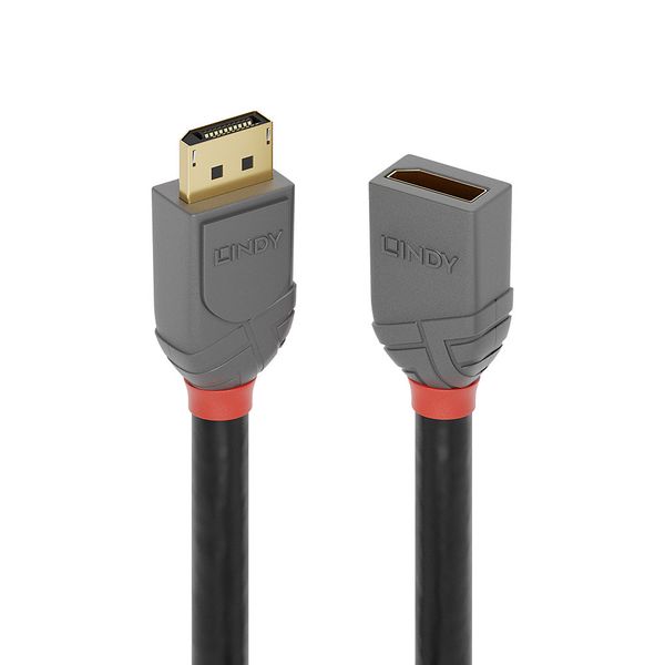 0.5m DisplayPort Extension Cable, Anthra Line DP Male to Female image 1