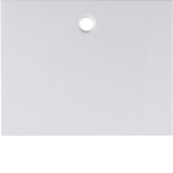 Centre plate for pullcord switch/pullcord push-button, K.1, p. white g image 3
