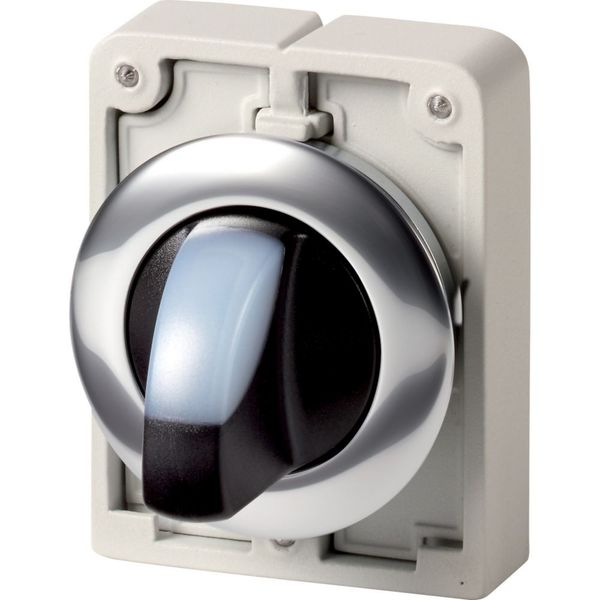 Illuminated selector switch actuator, RMQ-Titan, With thumb-grip, momentary, 3 positions, White, Metal bezel image 8