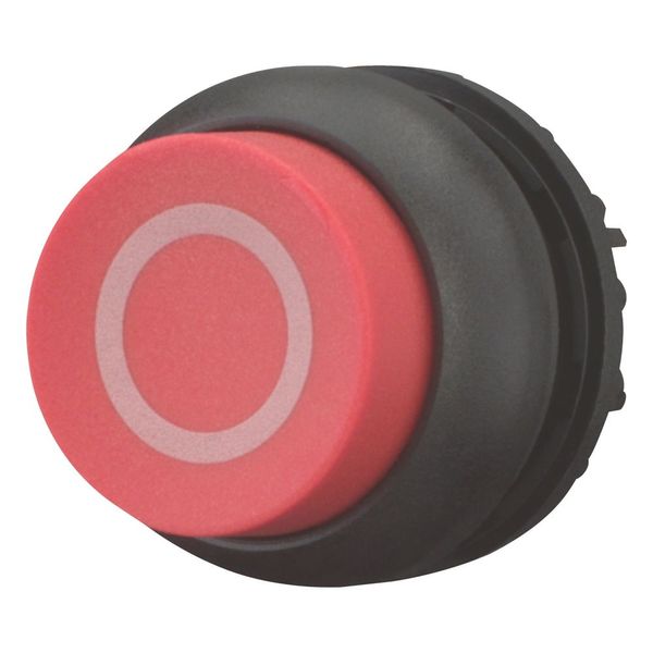 Pushbutton, RMQ-Titan, Extended, maintained, red, inscribed, Bezel: black image 13