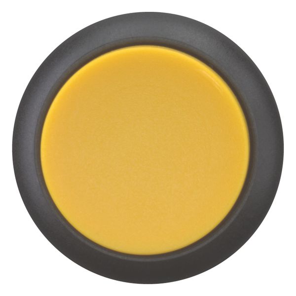 Pushbutton, RMQ-Titan, Extended, maintained, yellow, Blank, Bezel: black image 4