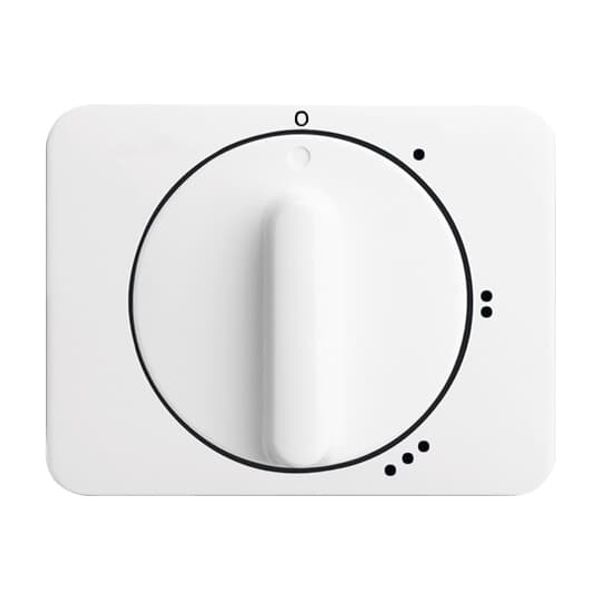 1742-82 CoverPlates (partly incl. Insert) future®, solo®; carat®; Busch-dynasty® ivory white image 5