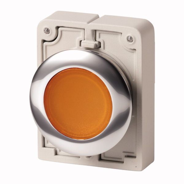Illuminated pushbutton actuator, RMQ-Titan, Flat, momentary, orange, Blank, Metal bezel image 1