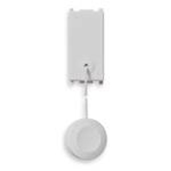 1P NC10A cord-operated pushbutton Silver image 1