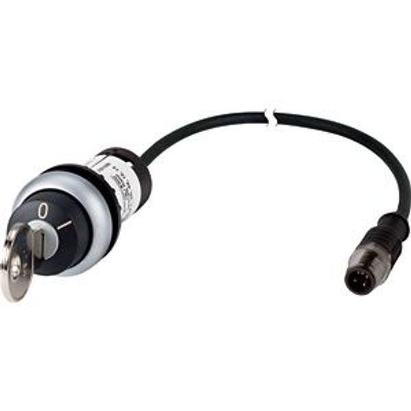 Key-operated actuator, RMQ compact solution, maintained, 1 N/O, Cable (black) with M12A plug, 4 pole, 0.2 m, 2 positions, MS1, Bezel: titanium image 5