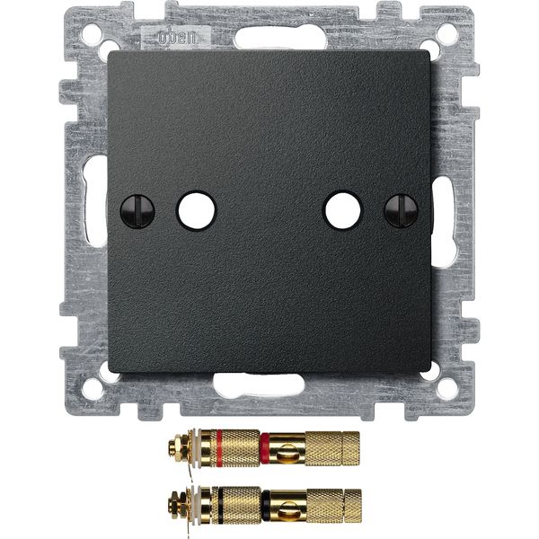 Central plate with high-end loudspeaker connector, anthracite, System M image 2