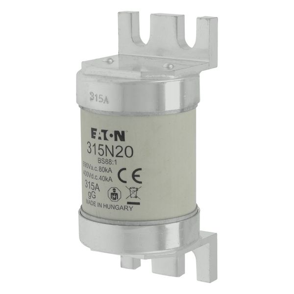 Fuse-link, low voltage, 315 A, AC 660 V, BS88, 49 x 110 mm, gL/gG, BS image 17