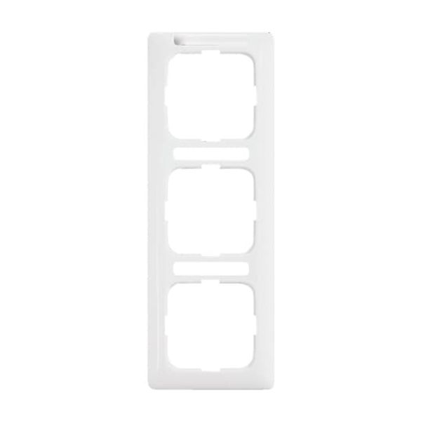 1723 NSKA-214 Cover Frame SI/Reflex SI Alpine white image 5