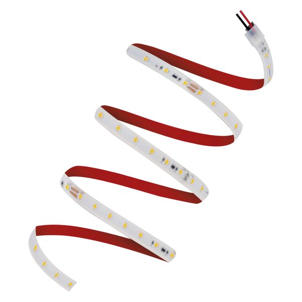 LED STRIP PERFORMANCE-2000 PROTECTED -2000/830/5/IP66 image 1