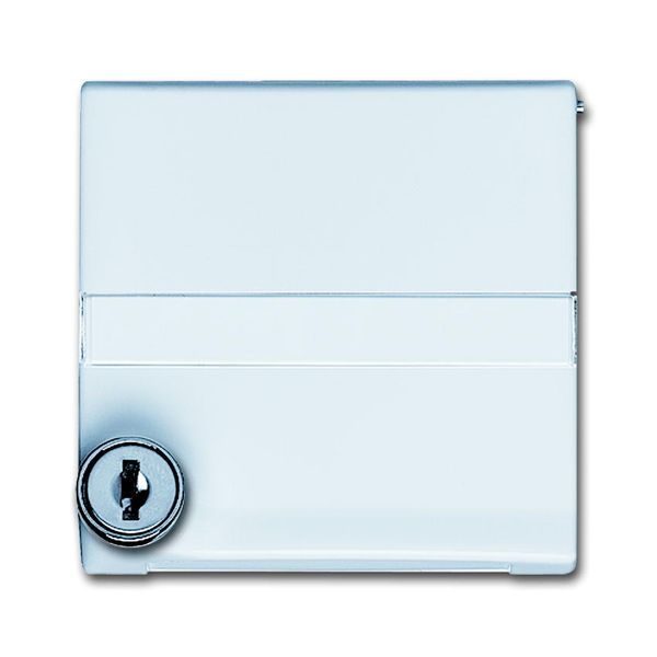 2118 GKSLN/11-32 CoverPlates (partly incl. Insert) Flush-mounted, water-protected, special connecting devices White image 1