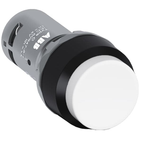 CP3-10B-20 Pushbutton image 7