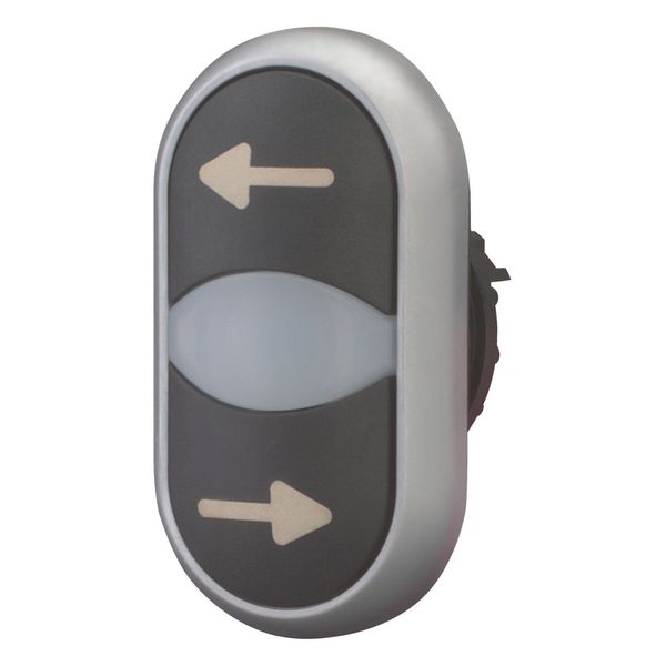 Double actuator pushbutton, RMQ-Titan, Actuators and indicator lights non-flush, momentary, White lens, black, black, inscribed, Bezel: titanium, arro image 6