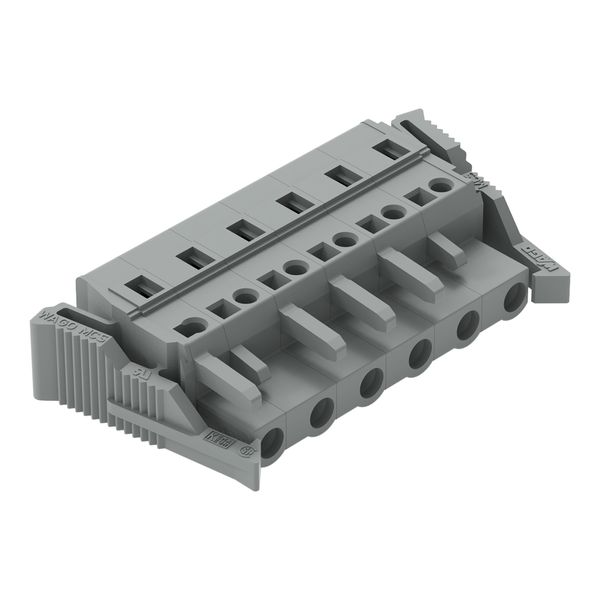 1-conductor female connector CAGE CLAMP® 2.5 mm² gray image 1