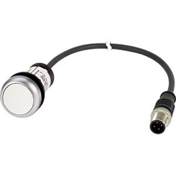 Pushbutton, classic, flat, maintained, 1 N/O, white, cable (black) with m12a plug, 4 pole, 0.2 m image 5