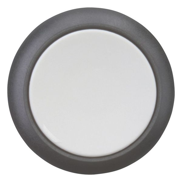 Pushbutton, RMQ-Titan, Flat, momentary, gray, Blank, Bezel: black image 9