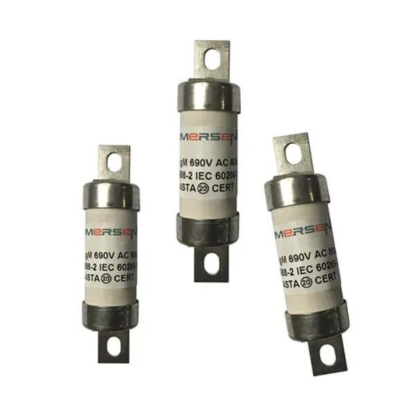 BS fuse-link IEC gM A4 690VAC 460VDC 63M100A BTCP Offset Tag image 1