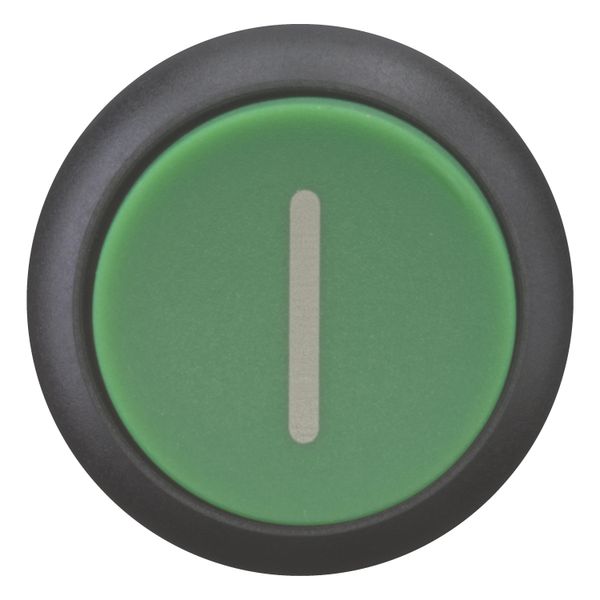 Pushbutton, RMQ-Titan, Extended, momentary, green, inscribed, Bezel: black image 10