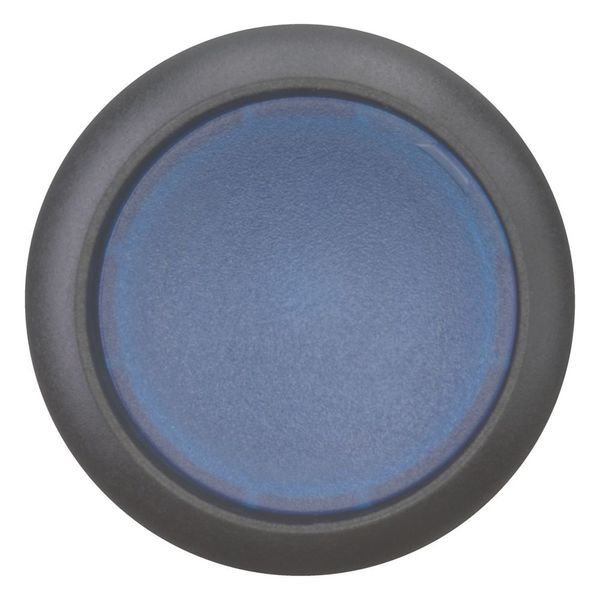 Illuminated pushbutton actuator, RMQ-Titan, Flush, maintained, Blue, Blank, Bezel: black image 3