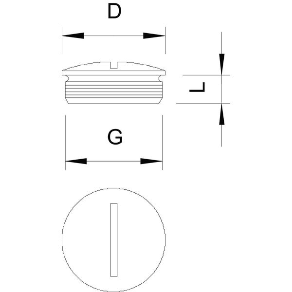 168 MS PG21 Screw plug  PG21 image 2