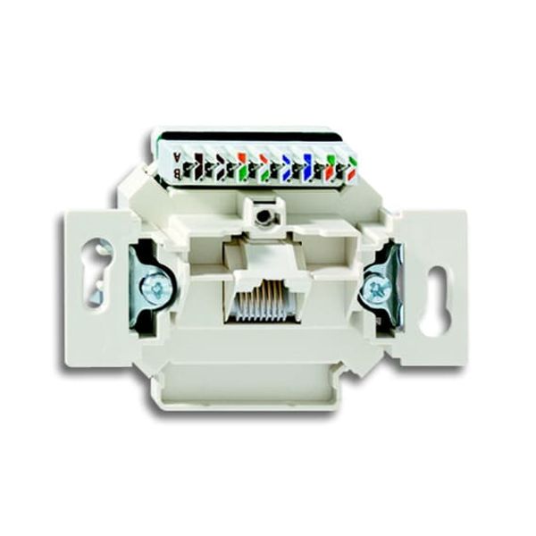 0261/12-500 Flush Mounted Inserts Flush-mounted installation boxes and inserts Alpine white image 1