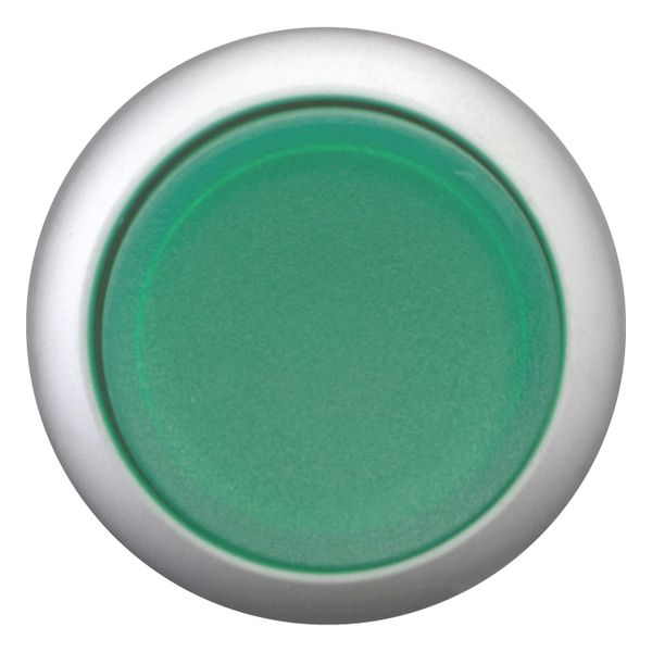Illuminated pushbutton actuator, RMQ-Titan, Extended, momentary, green, Blank, Bezel: titanium image 5