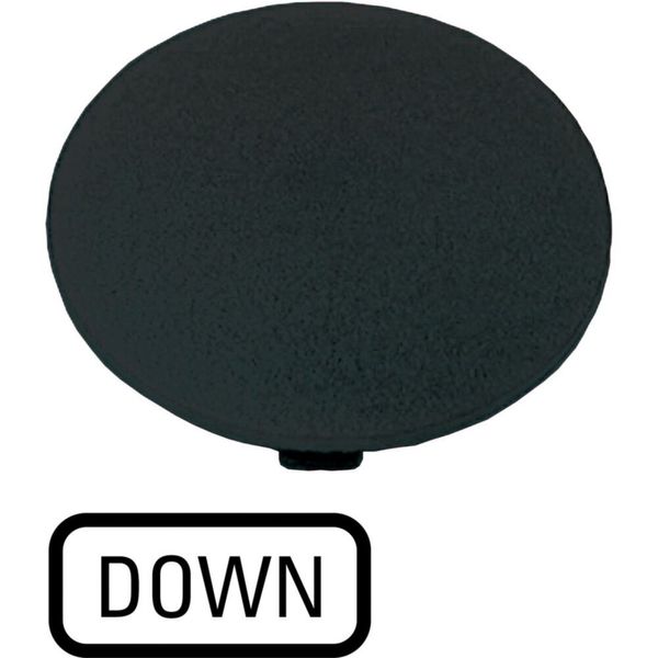 Button plate, mushroom black, DOWN image 3