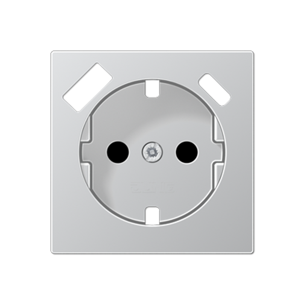 Centre plate SCHUKO® sockets A1520-15CAPLAL image 1