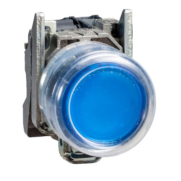 ATEX ILLUMINATED PUSHBUTTON image 1