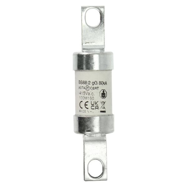 Fuse-link, LV, 100 A, AC 415 V, BS88/A4, 27 x 110 mm, gM, BS, 100M160 image 27