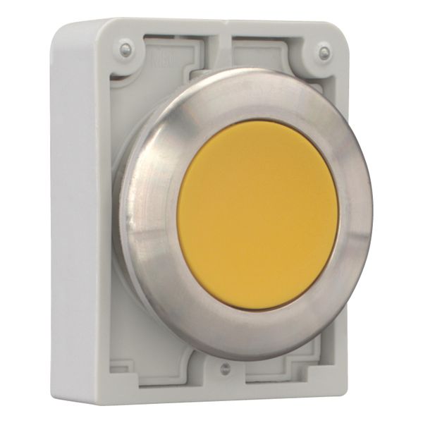 Pushbutton, RMQ-Titan, flat, momentary, yellow, blank, Front ring stainless steel image 12