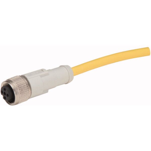 Connection cable, 4p, AC, coupling M12 flat, open end, L=2m image 1