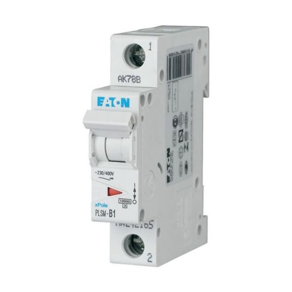 PLSM-D1-MW Eaton Moeller series xPole - PLS6/M MCB image 1