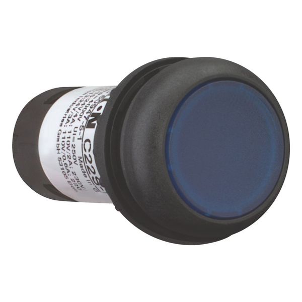 Illuminated pushbutton actuator, Flat, momentary, 1 N/O, Screw connection, LED Blue, Blue, Blank, 230 V AC, Bezel: black image 6