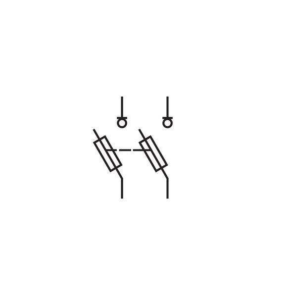 Fuse Carrier 2-pole, 32A, 10x38 image 2