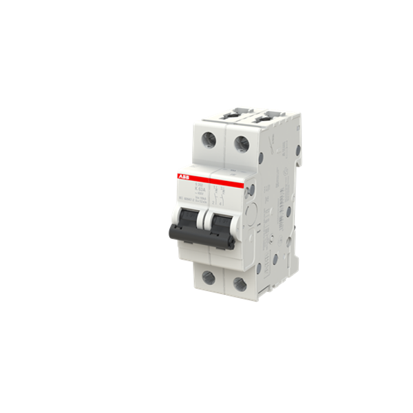 S202-Z63 Miniature Circuit Breaker - 2P - Z - 63 A image 4
