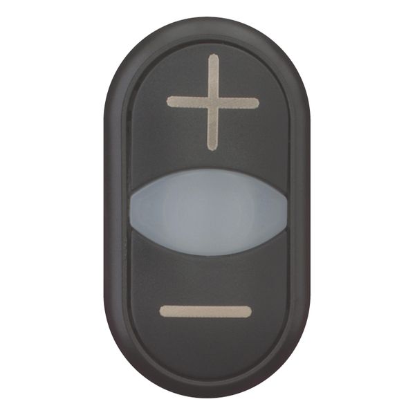 Double actuator pushbutton, RMQ-Titan, Actuators and indicator lights non-flush, momentary, White lens, black, black, inscribed, Bezel: black image 5