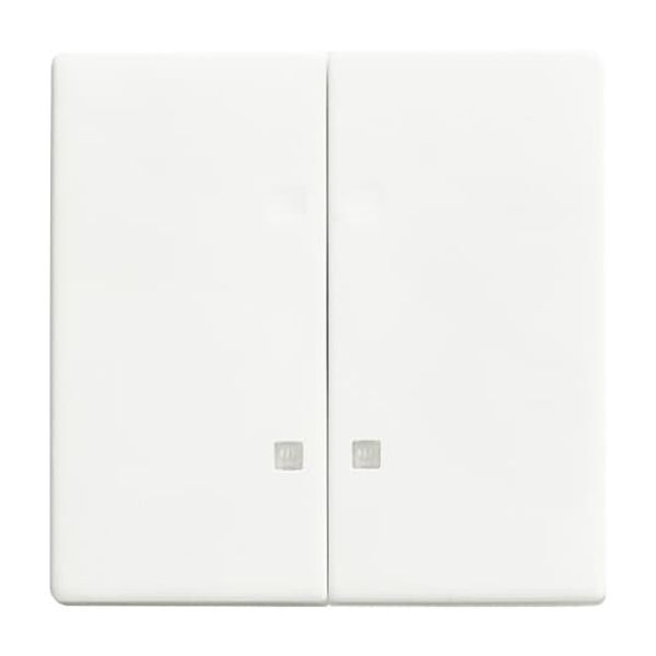 1785 K-884-500 Mechanical Controls None for Switch/push button, Two-part rocker studio white matt - 63x63 image 1