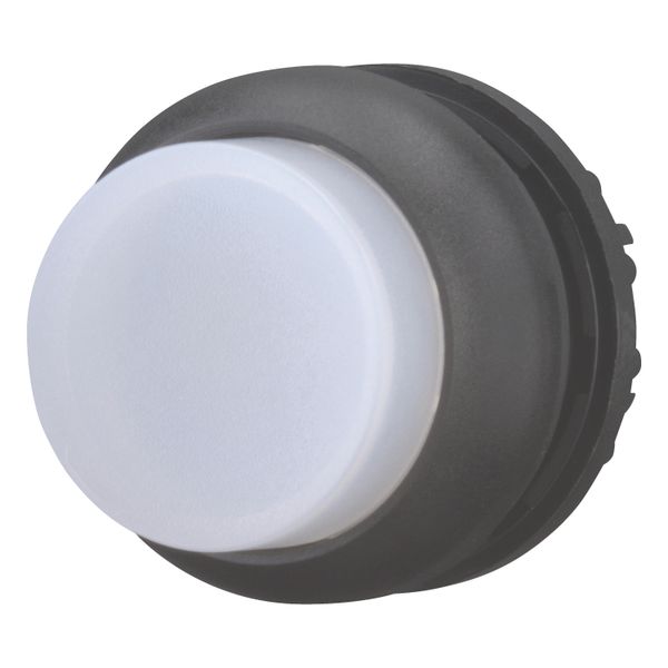 Illuminated pushbutton actuator, RMQ-Titan, Extended, maintained, White, Blank, Bezel: black image 2