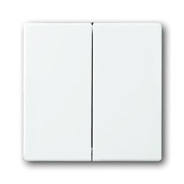 1785-84 CoverPlates (partly incl. Insert) future®, Busch-axcent®, solo®; carat® Studio white image 2
