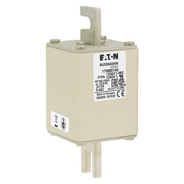 Fuse-link, high speed, 315 A, AC 1250 V, size 2, 61 x 75 x 138 mm, aR, DIN, IEC, single indicator image 18