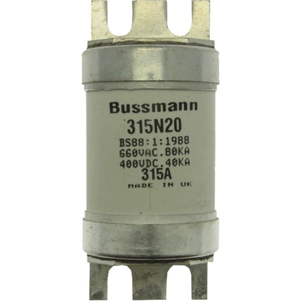 Fuse-link, low voltage, 315 A, AC 660 V, BS88, 49 x 110 mm, gL/gG, BS image 13