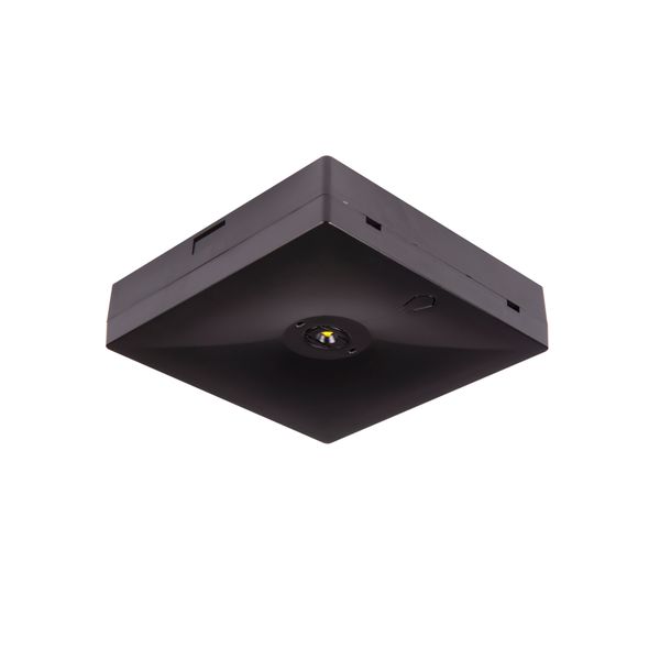 Starlet QUAD LED SOH 350 A 3H MT [BLK] image 1