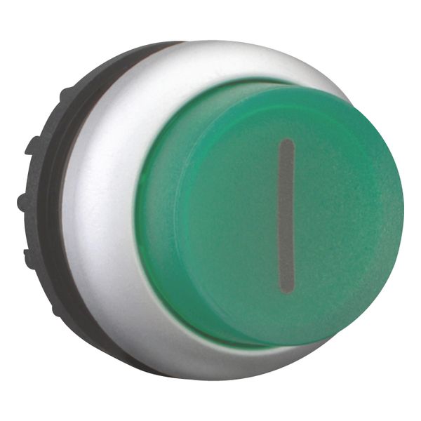 Illuminated pushbutton actuator, RMQ-Titan, Extended, maintained, green, inscribed, Bezel: titanium image 7